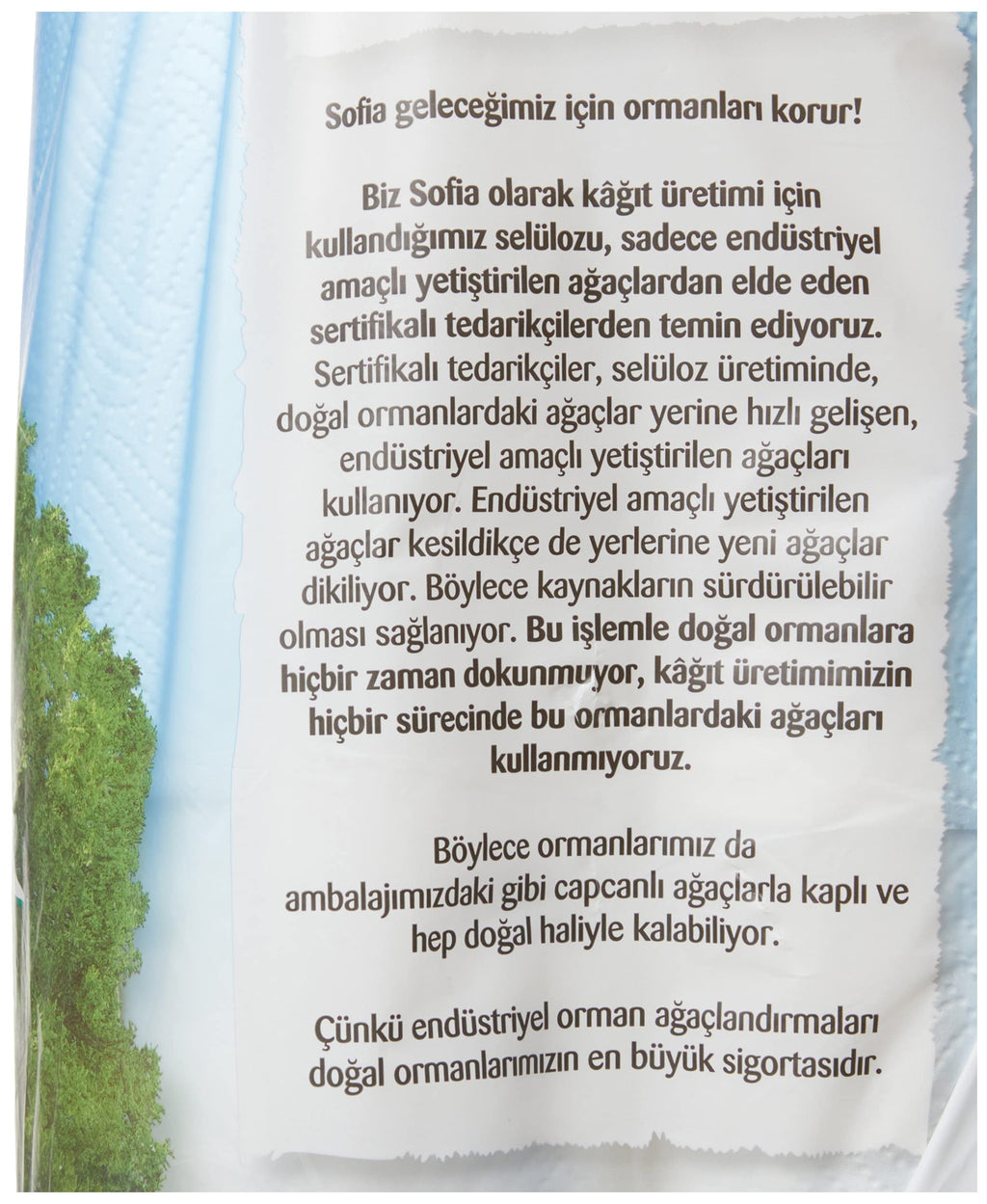 Sofia 3 Katlı Kağıt Havlu 12'Li, 1 Paket (1 X 12 Adet)